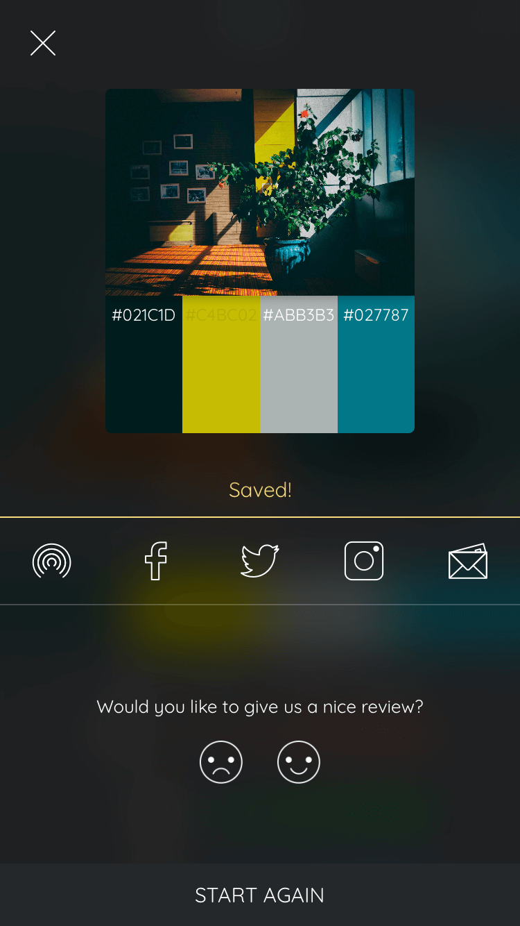 Save & share your palette